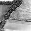 Redhouse Dean, oblique aerial view, taken from the SSE, centred on the cropmarks of a fort.