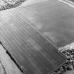 Oblique aerial view centred on the cropmarks of the ring-ditch and possible unenclosed settlement with the cropmarks of the palisaded enclosure and rig adjacent, taken from the W.