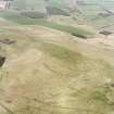 Aerial view of Bonchester Hill fort, settlement and cultivation remains and Bonchester Hill settlement, taken from the SW.