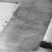 Oblique aerial view centred on the cropmarks of the settlement, taken from the SW.