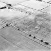 Oblique aerial view centred on the cropmarks of the settlement and enclosures, taken from the NW.