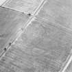 Oblique aerial view centred on the cropmarks of the settlement and enclosures, taken from the SW.