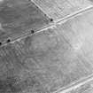 Oblique aerial view centred on the cropmarks of the settlement and enclosures, taken from the SSW.