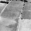 Oblique aerial view centred on the cropmarks of the settlement and enclosures, taken from the ENE.