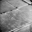 Oblique aerial view centred on the cropmarks of the settlement, enclosures and rig, taken from the SW.