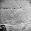 Oblique aerial view centred on the cropmarks of the settlement, enclosures and rig, taken from the S.