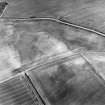 Oblique aerial view of Grizzlefield centred on the soilmarks of a possible enclosure with a standing stone adjacent, taken from the NW.