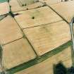 Oblique aerial view centred on the cropmarks of the enclosure with Roman temporary camp and enclosure adjacent, taken from the WNW.