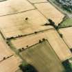 Oblique aerial view centred on the cropmarks of the Roman temporary camp and enclosure, taken from the E.
