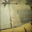 Oblique aerial view centred on the cropmarks of the Roman temporary camps and enclosure, taken from the S.