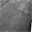 Huntington, settlement and barrow: oblique air photograph of cropmarks