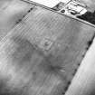 Huntington, settlement, barrow and linear cropmark: oblique air photograph of cropmarks