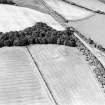 Oblique aerial view of St Leonard's Hill centred on the cropmarks of an enclosed settlement and rig, taken from the SSE.
