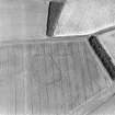 Oblique aerial view of Westmains Hill centred on the cropmarks of two enclosures, taken from the SW.