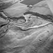 Oblique aerial view centred on the remains of the enclosure, taken from the NE.