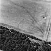 Birkenside, oblique aerial view, taken from the W, centred on the cropmark of an enclosure.