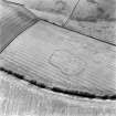 Grizzlefield, West Rings, oblique aerial view, taken from the NW, centred on the cropmarks of a fort.