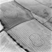 Grizzlefield, East and West Rings, oblique aerial view, taken from the NW, centred on the cropmarks of two forts.