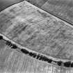 Oblique aerial view centred on the cropmarks of the fort, taken from the NW.