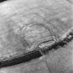 Birkenside Hill, oblique aerial view, taken from the WNW, centred on the cropmarks of a fort.