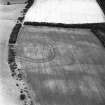 Birkenside Hill, oblique aerial view, taken from the S, centred on the cropmarks of a fort.