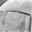 Birkenside Hill, oblique aerial view, taken from the ENE, centred on the cropmarks of a fort, enclosures and linear cropmarks.