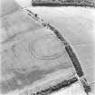 Birkenside Hill, oblique aerial view, taken from the NE, centred on the cropmarks of a fort, enclosures and linear cropmarks.