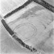 Birkenside Hill, oblique aerial view, taken from the SW, centred on the cropmarks of a fort, enclosures and linear cropmarks.