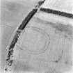 Birkenside Hill, oblique aerial view, taken from the SE, centred on the cropmarks of a fort, enclosures and linear cropmarks.