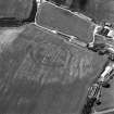 Oblique aerial view centred on the cropmarks of the fort, taken from the SE.