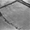 Oblique aerial view centred on the parchmarks of the fort, taken from the SW.