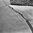 Oblique aerial view centred on the parchmarks of the fort, taken from the NNE.