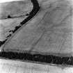 Birkenside, oblique aerial view, taken from the SE, centred on the cropmark of an enclosure.