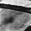 Birkenside Hill and Camp Strip, oblique aerial view, taken from the NE, centred on the cropmarks of a possible fort. A pit-alignment is visible in the top centre half of the photograph.