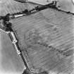 West Morriston, oblique aerial view, taken from the W, centred on the cropmarks of a fort.