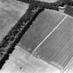 Oblique aerial view of Camp Strip centred on the cropmarks of a possible fort, taken from the SW.