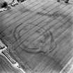 Oblique aerial view centred on the cropmarks of the fort, taken from the WNW.