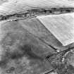 Black Castle, oblique aerial view, taken from the NE, centred on the cropmarks of a pit-alignment. Part of a fort is visible in the bottom right-hand corner of the photograph.