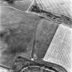 Black Castle, oblique aerial view, taken from the NNE, centred on the cropmarks of a pit-alignment. Part of a fort is visible in the bottom half of the photograph.