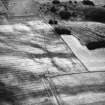 The Chesters, Drem, pit-alignment: oblique air photograph of cropmarks.
