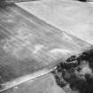 Kaeheughs, Barney Mains, pit-alignments: oblique air photograph of cropmarks.
