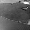 Newmains, oblique aerial view, taken from the SW, centred on a linear cropmark.