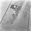 Foster Law, settlement: oblique air photograph of cropmarks.
