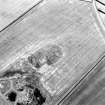 Foster Law, settlement: oblique air photograph of cropmarks.
