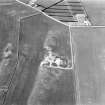Foster Law, settlement and The Chesters, pit-alignment: oblique air photograph of cropmarks.
