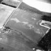 Waughton, settlements and cropmarks: oblique air photograph.
