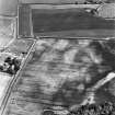 Preston Mains, oblique aerial view, taken from the SW, centred on the cropmarks of a possible cursus monument and enclosure. A linear cropmark is visible in the bottom left-hand corner of the photograph.