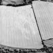Oblique aerial view of Phantassie centred on the cropmarks of an enclosure, possible ring-ditch, rig and linear cropmarks with a dovecot adjacent, taken from the NNW.