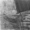 Overhailes, enclosure: oblique air photograph showing cropmarks.
