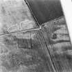Overhailes, enclosure: oblique air photograph showing cropmarks.
